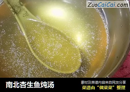 南北杏生鱼炖汤