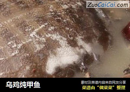 乌鸡炖甲鱼