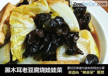 黑木耳老豆腐烧娃娃菜