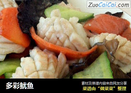 多彩鱿鱼