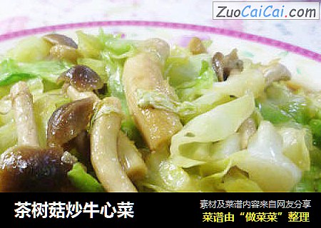 茶树菇炒牛心菜