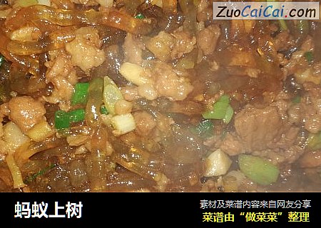 蚂蚁上树