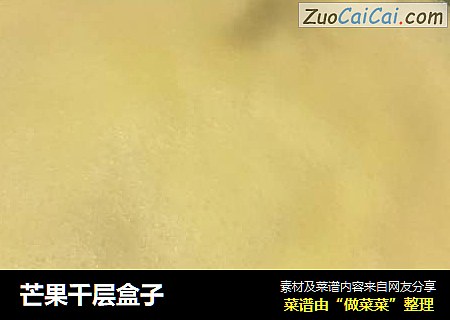 芒果千层盒子