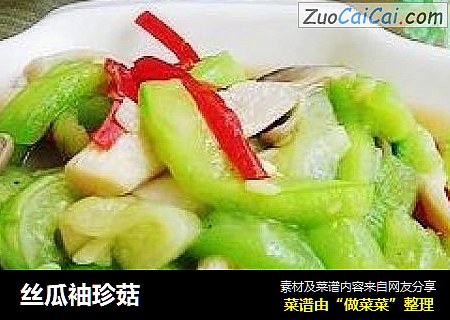 丝瓜袖珍菇