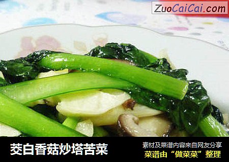茭白香菇炒塔苦菜