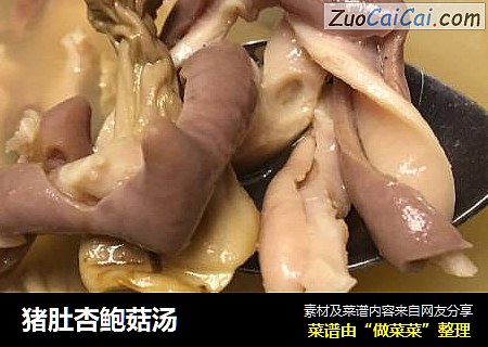 猪肚杏鲍菇汤