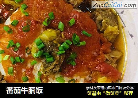 番茄牛腩饭