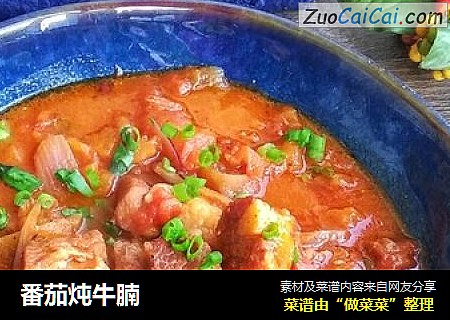 番茄炖牛腩