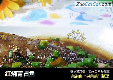 红烧青占鱼