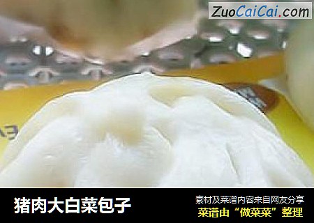 猪肉大白菜包子