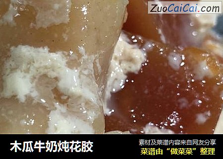 木瓜牛奶炖花胶