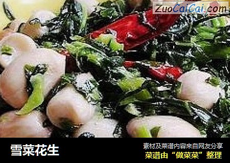 雪菜花生