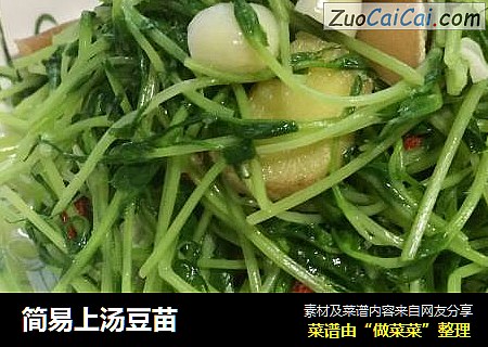 简易上汤豆苗