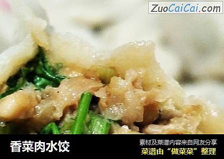 香菜肉水饺
