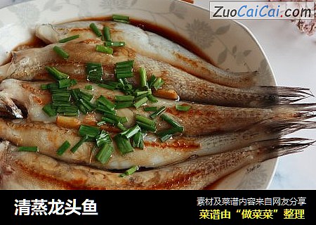 清蒸龙头鱼