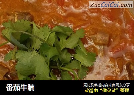 番茄牛腩