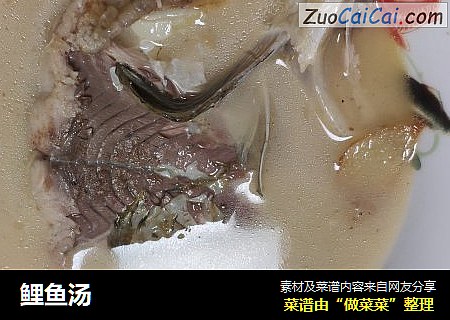 鲤鱼汤