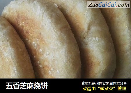 五香芝麻烧饼