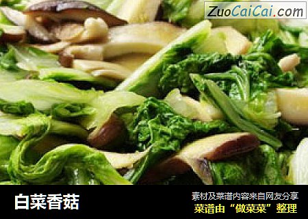 白菜香菇