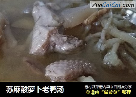 苏麻酸萝卜老鸭汤
