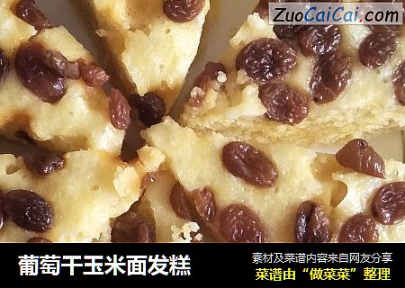 葡萄干玉米面发糕