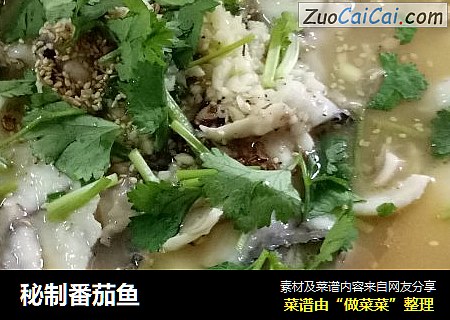 秘制番茄鱼