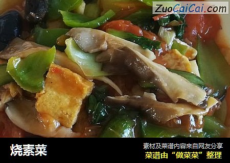 烧素菜