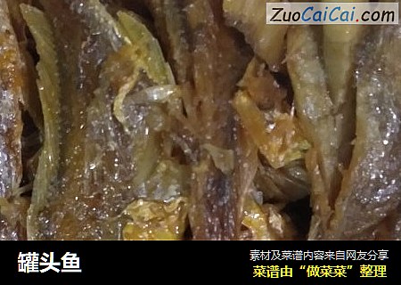 罐头鱼