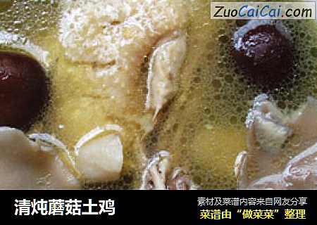 清炖蘑菇土鸡