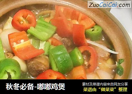 秋冬必备-嘟嘟鸡煲
