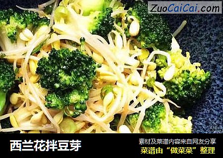 西兰花拌豆芽