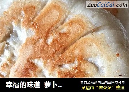 幸福的味道  萝卜丝素饼