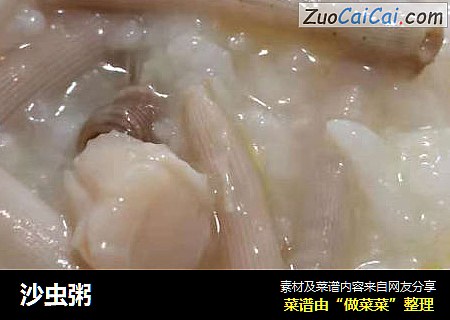 沙虫粥
