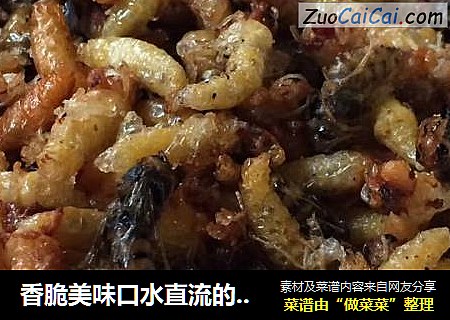 香脆美味口水直流的炸蜂蛹