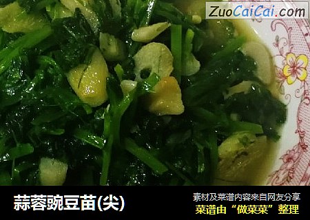 蒜蓉豌豆苗(尖)