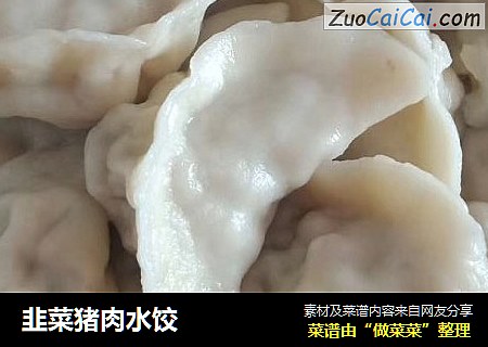 韭菜猪肉水饺