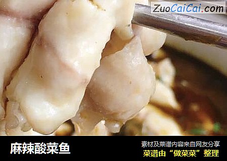 麻辣酸菜鱼