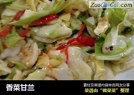 香菜甘兰
