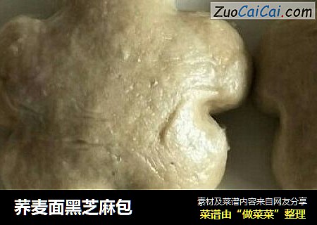 荞麦面黑芝麻包
