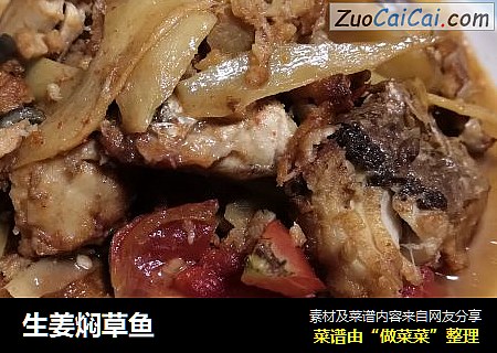 生姜焖草鱼