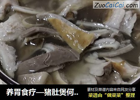 养胃食疗—猪肚煲何首乌