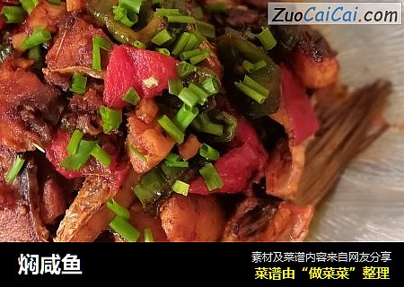 焖咸鱼