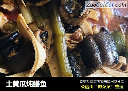 土黄瓜炖鳝鱼