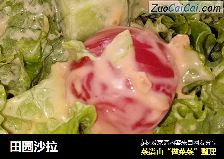 田园沙拉