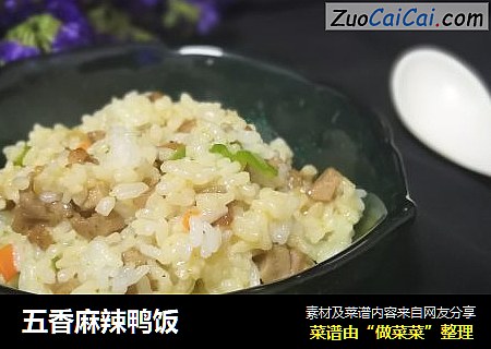 五香麻辣鸭饭