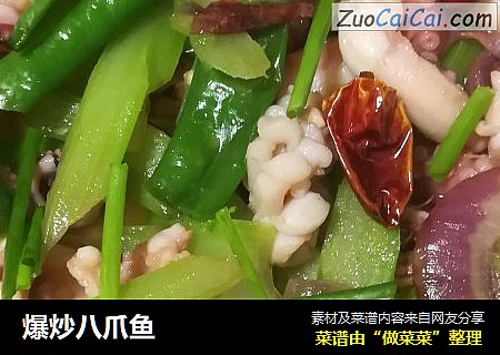 爆炒八爪鱼