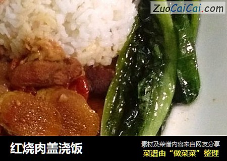 红烧肉盖浇饭