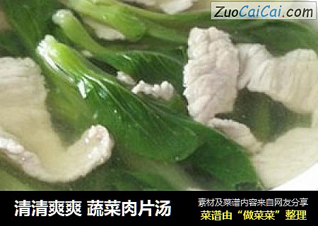 清清爽爽蔬菜肉片汤