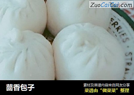 茴香包子