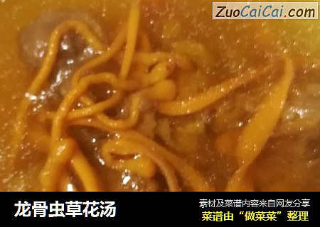 龙骨虫草花汤
